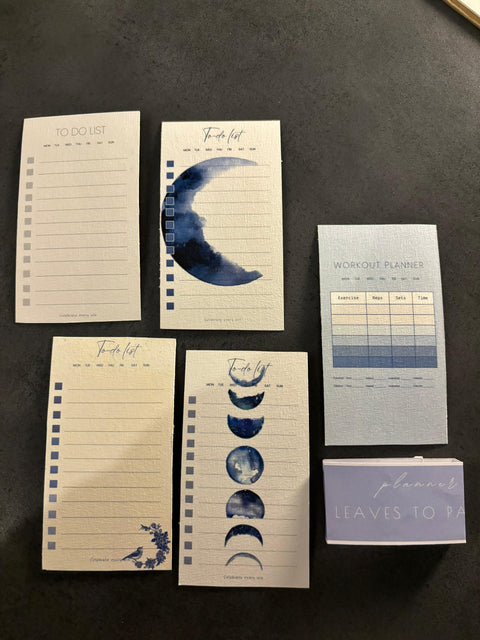 Daily Focus & Fitness Bundle